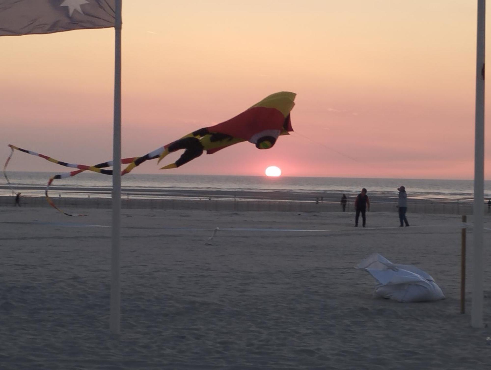 L'Alteia - L'Appartement Les Pieds Dans L'Eau Avec Place De Parking Prive Et Acces Direct A La Plage Berck Esterno foto